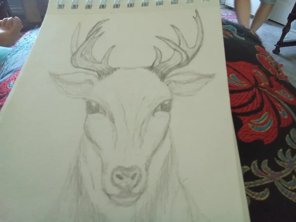 Stag Gaze