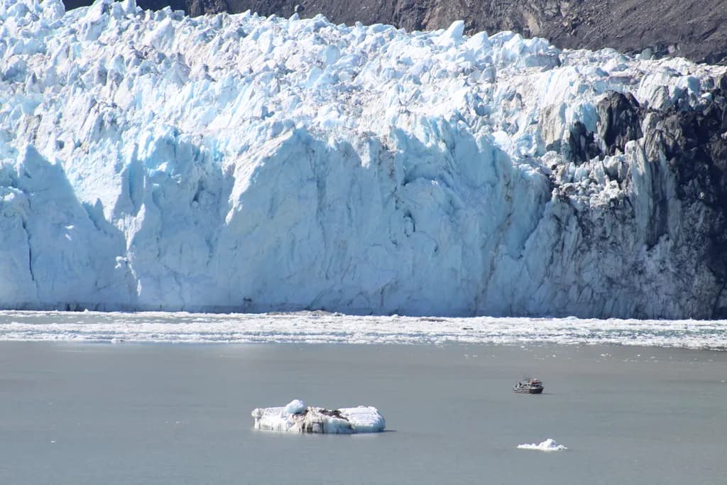 Size Matters: Glacier Bay