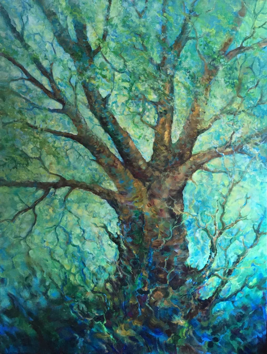 Ancient Canopy