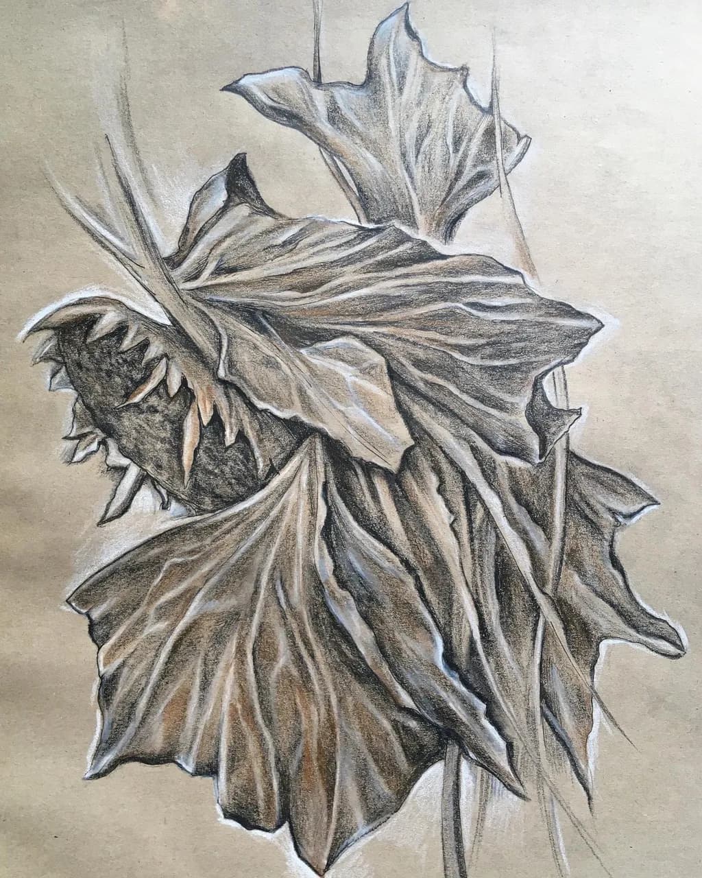 Withered Study