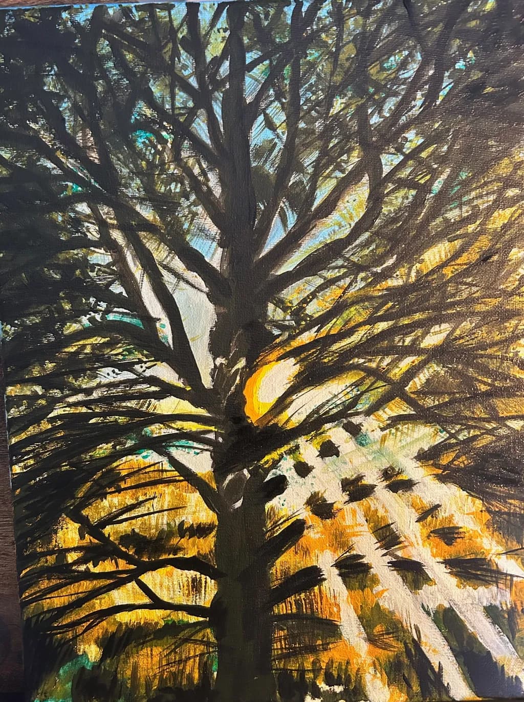 Sunlit Canopy