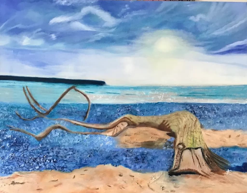Noosa Driftwood