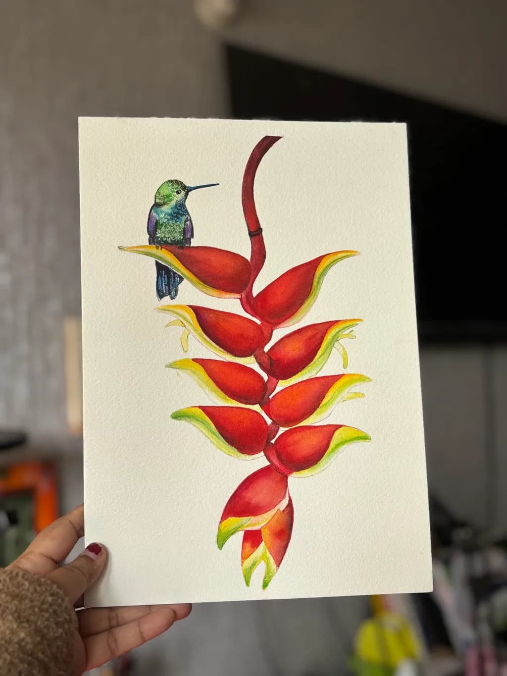 Hummingbird and Heliconia