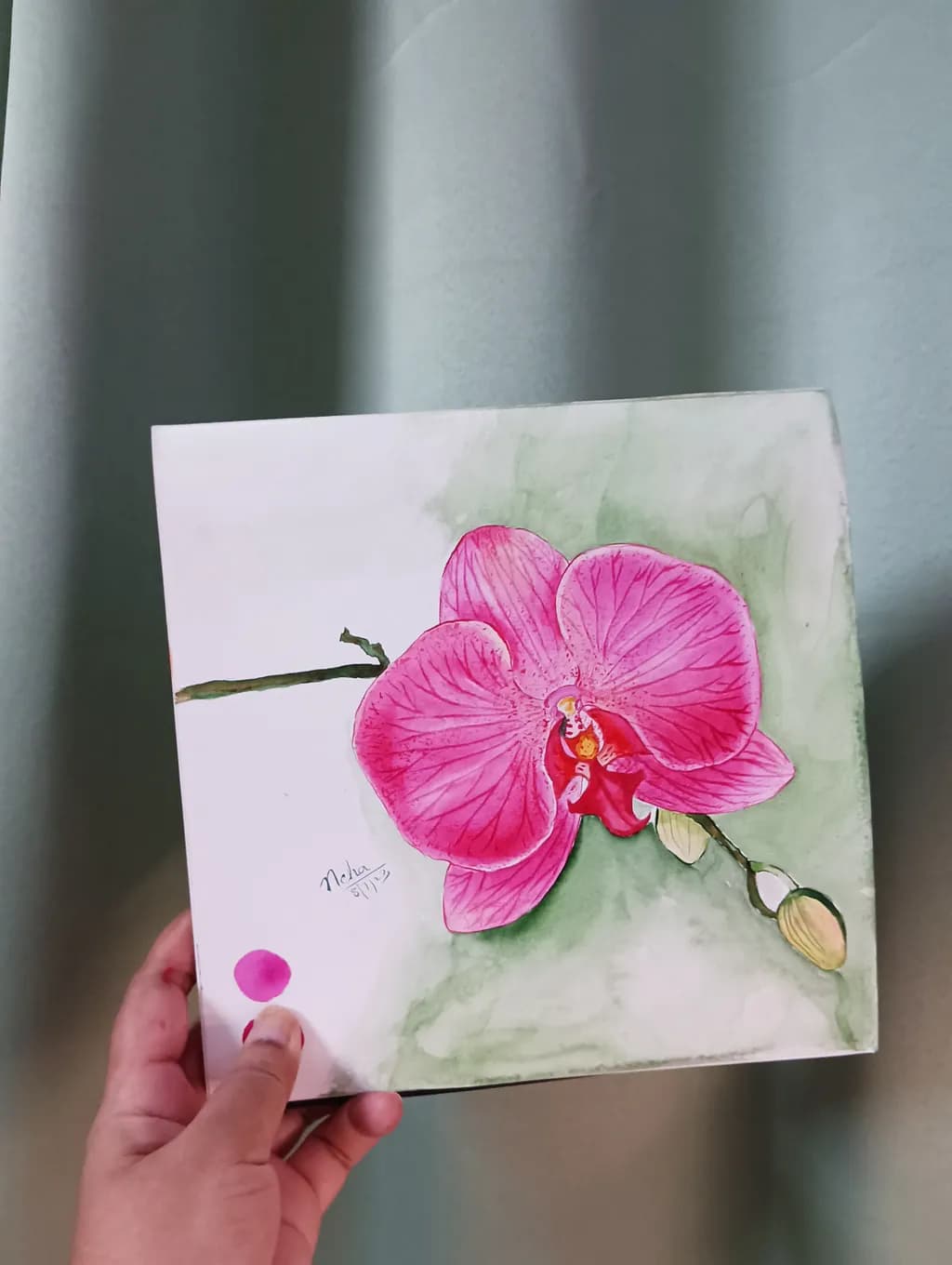 Pink Orchid Study