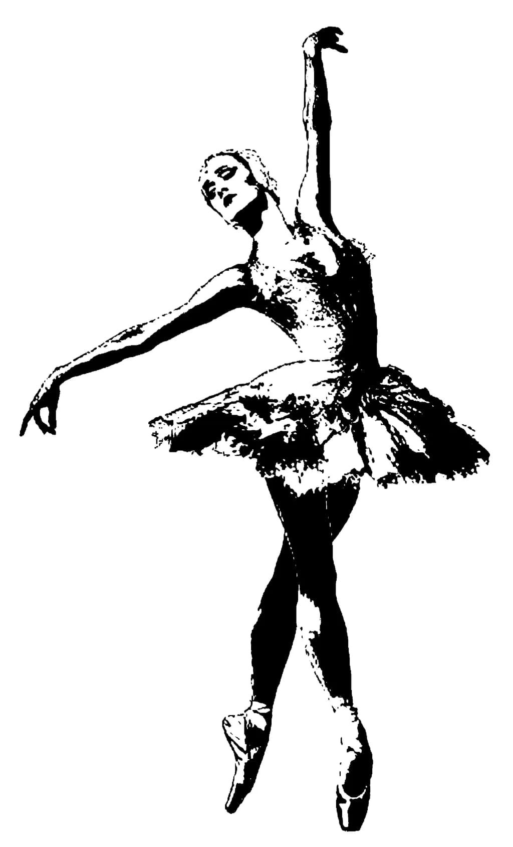 Poised Grace