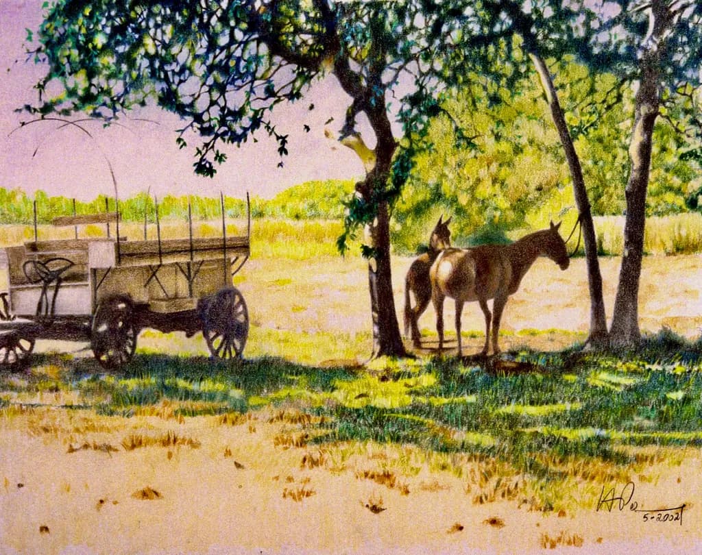 Texas Summer