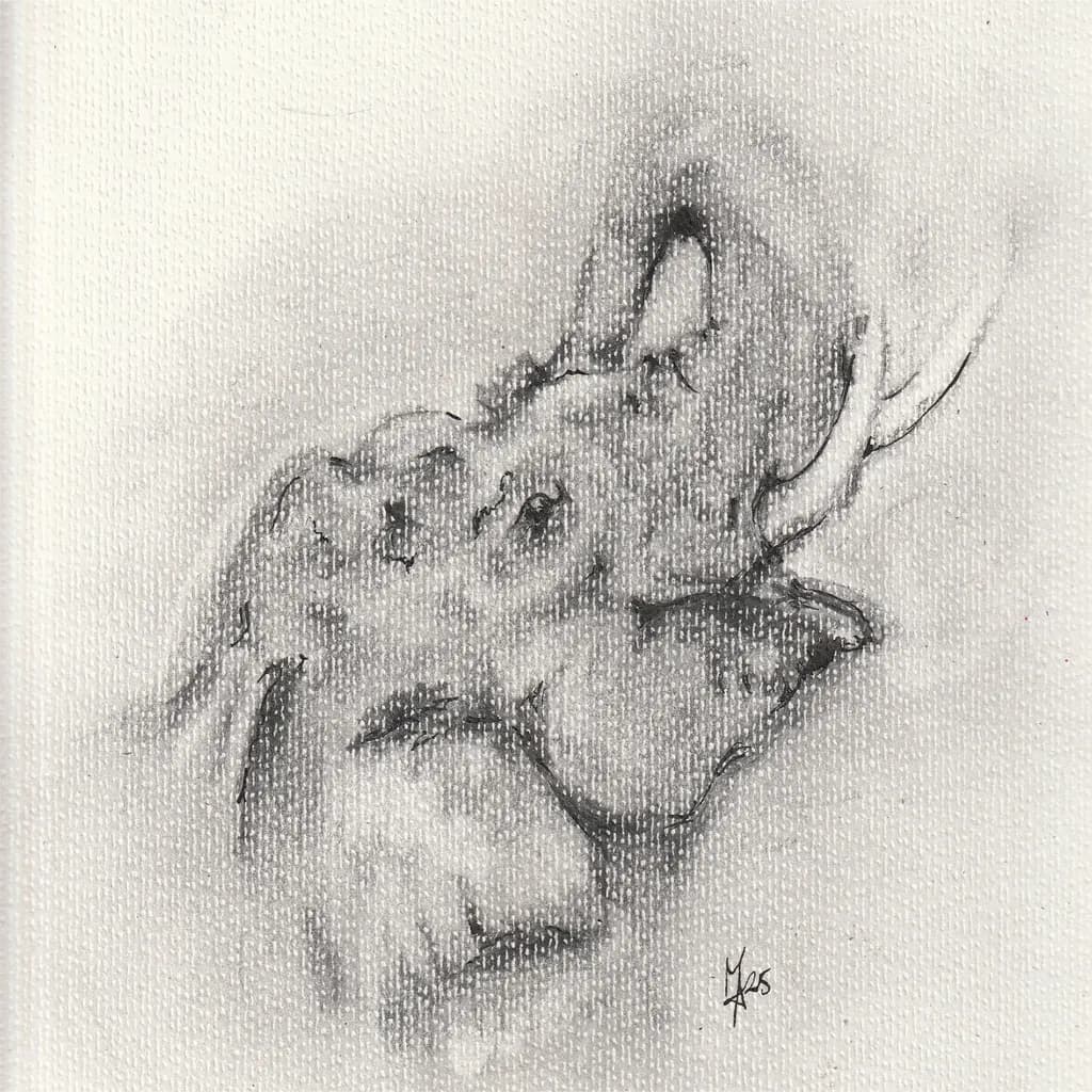 Elephant Sketch