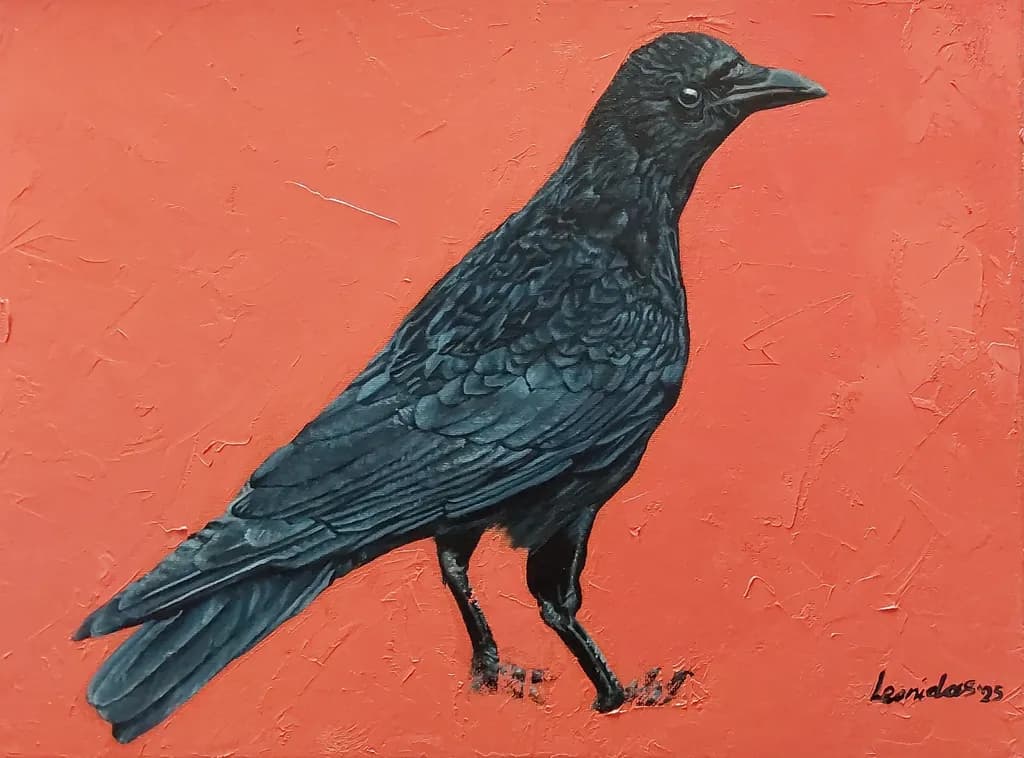 Black Crow