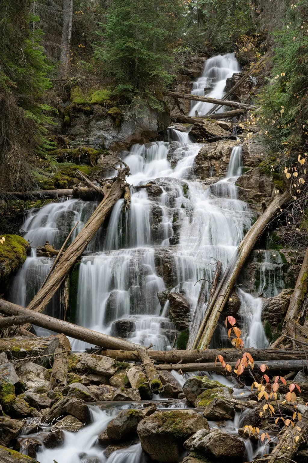 Martin Falls Beauty
