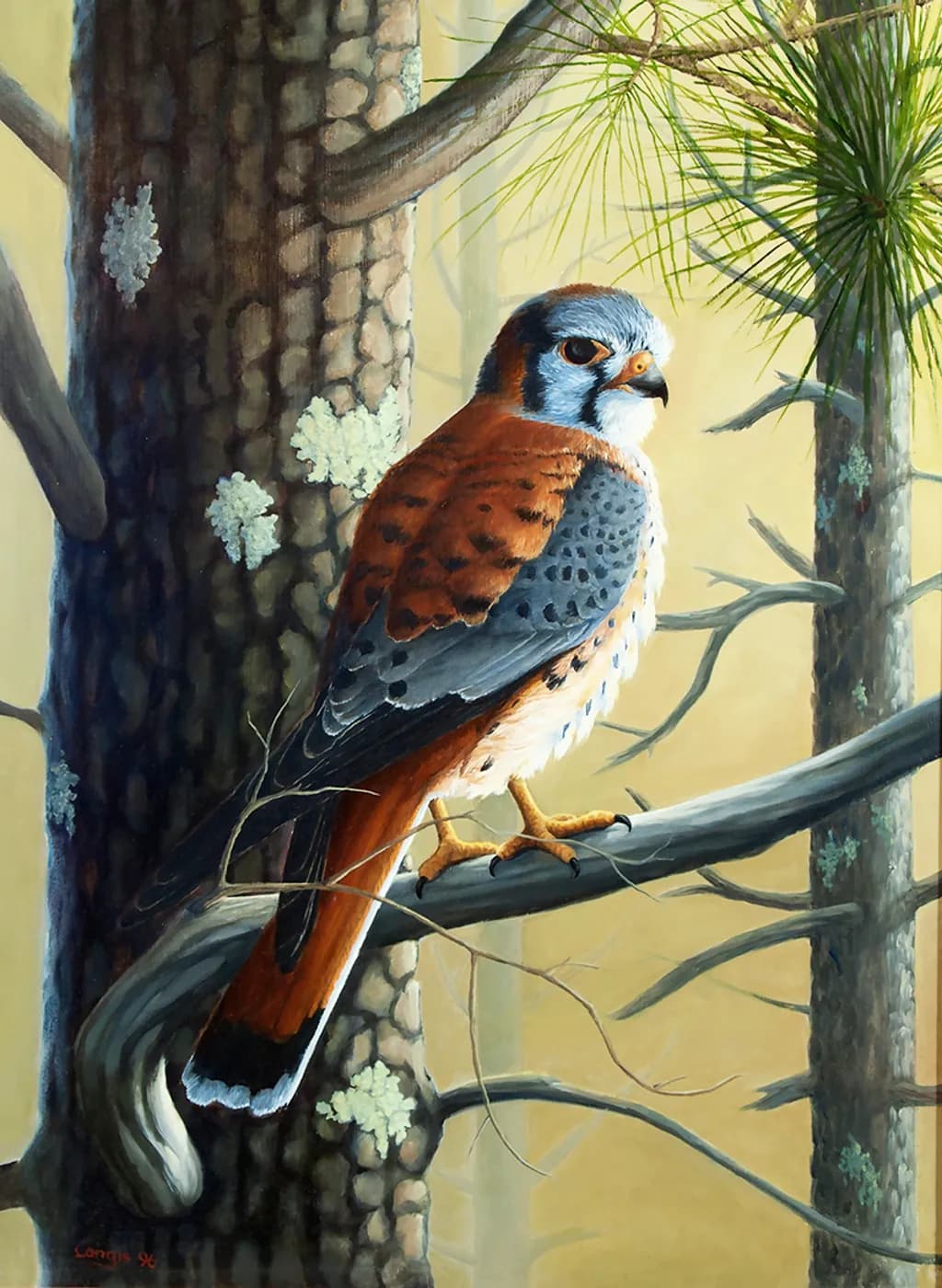 Larger-than-Life Hawk