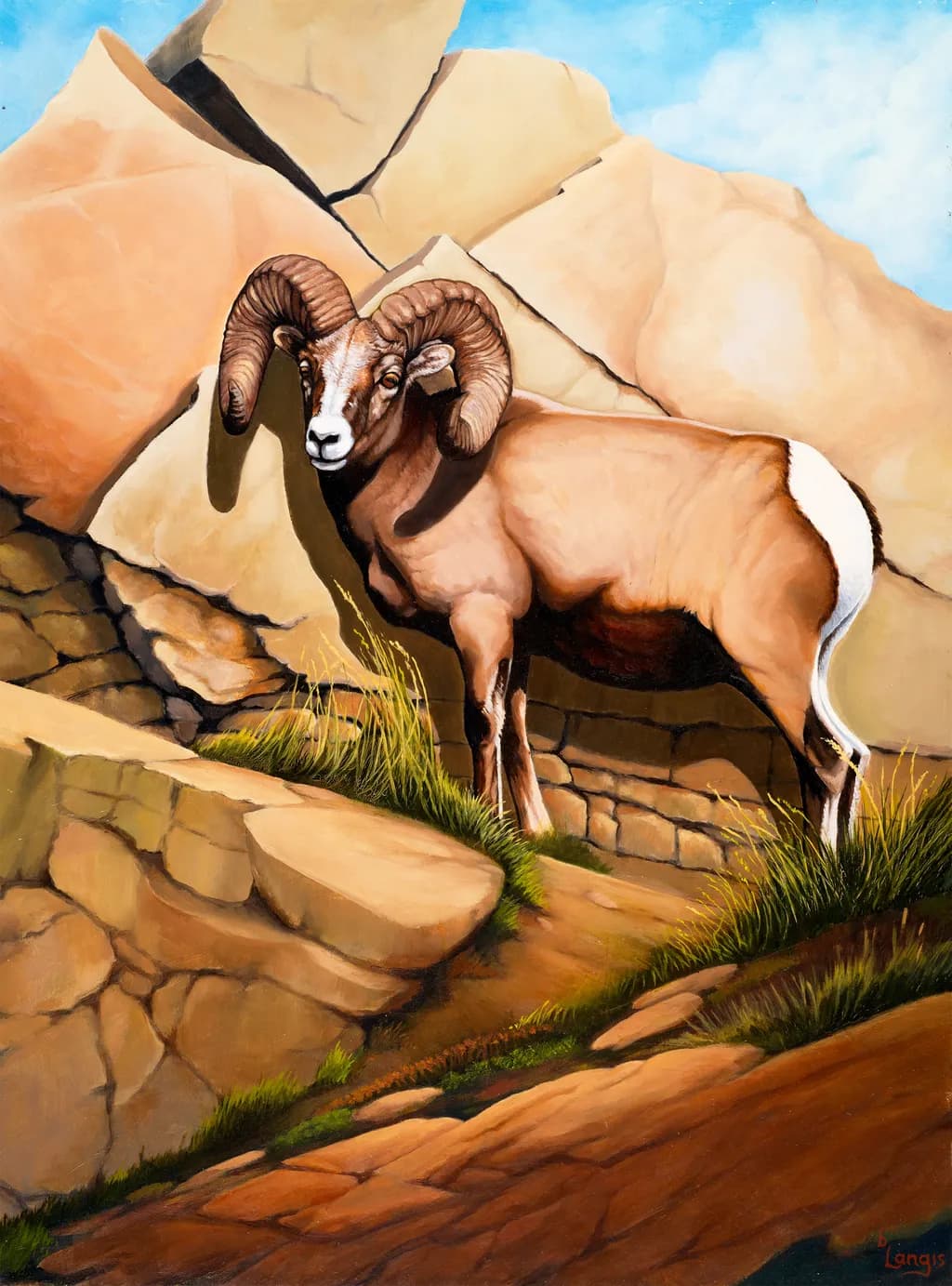 Ram Tough