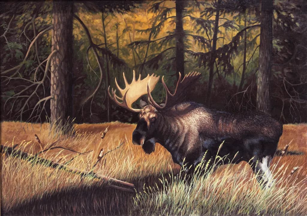 The Bull