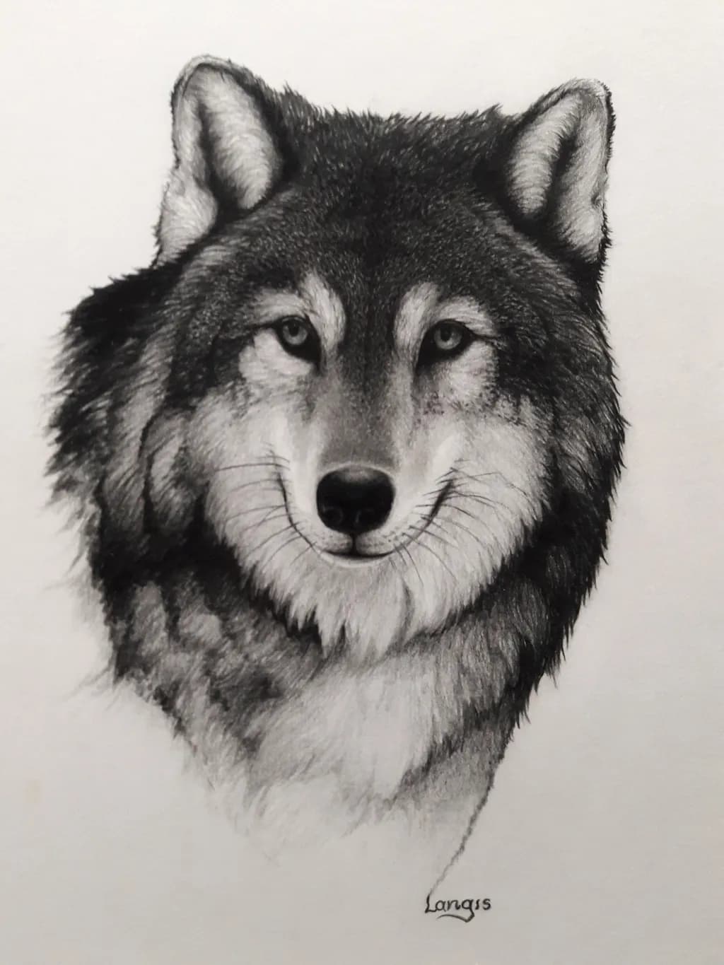 "Relentless" Wolf