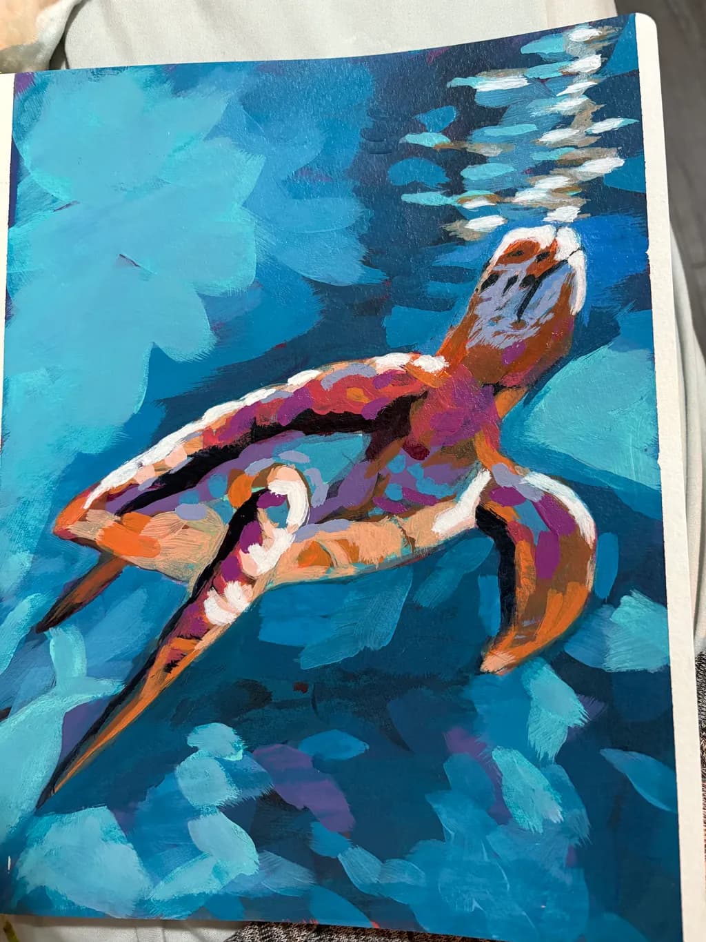 Coral Glide