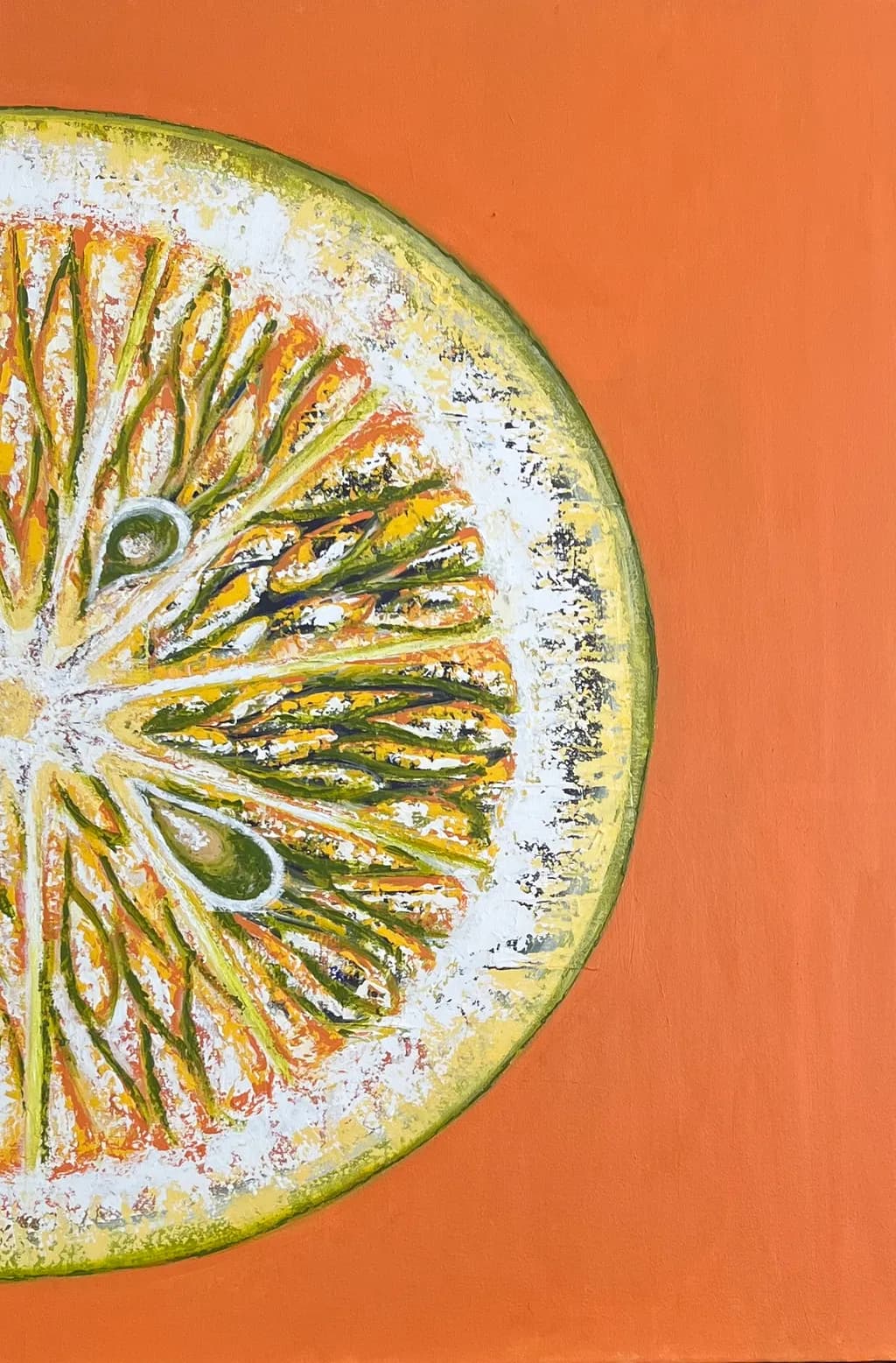 Citrus Slice Abstract