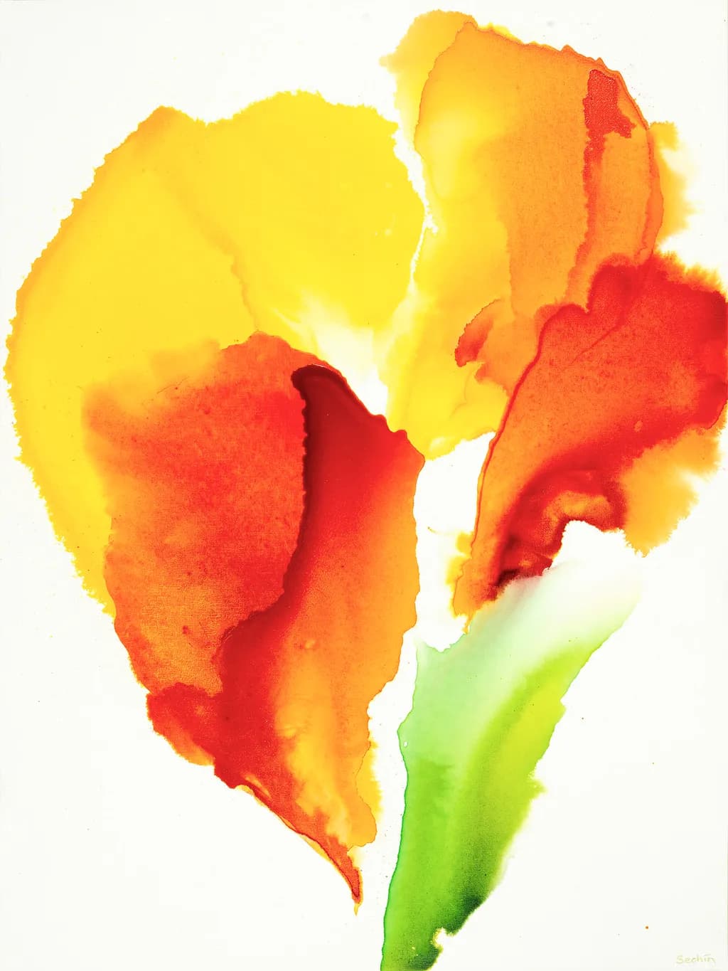 Primavera