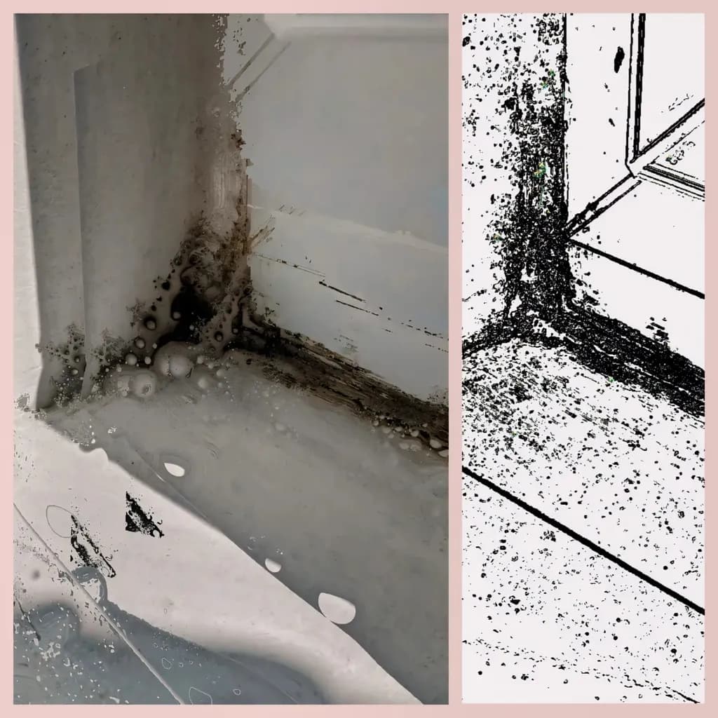 Visible Decay