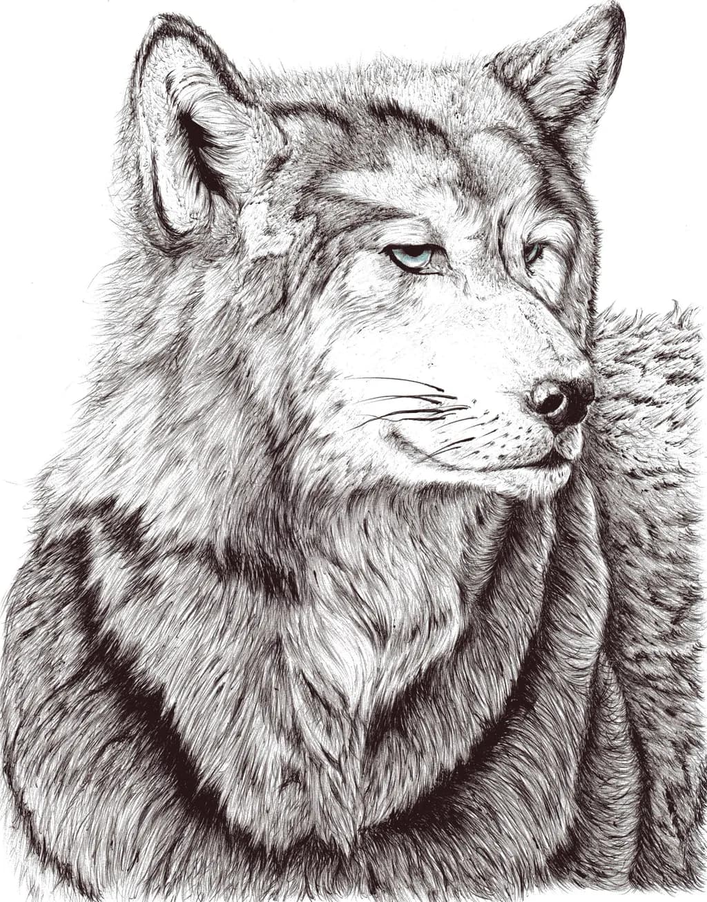 Steadfast Gaze