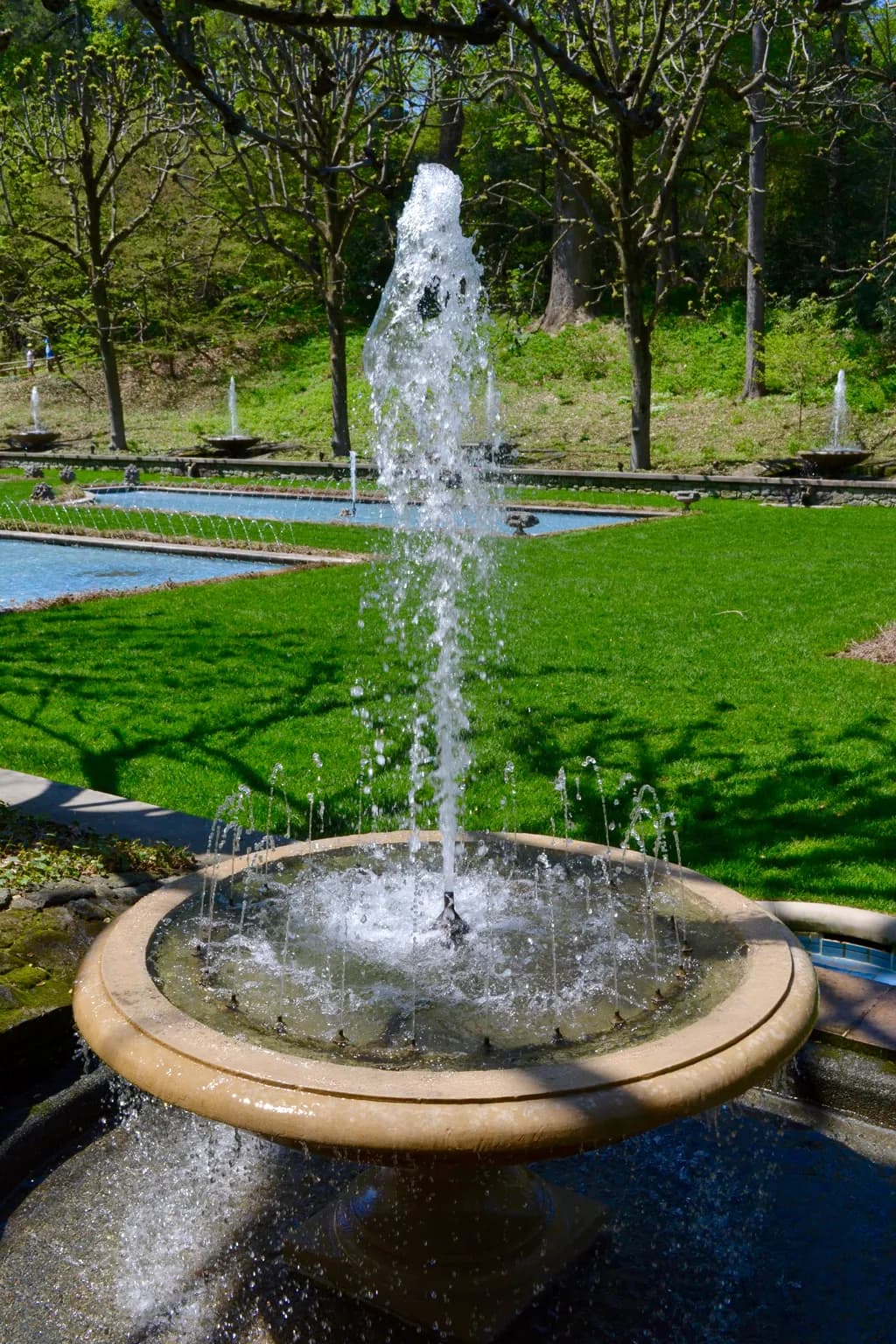 Garden Fountain Burst