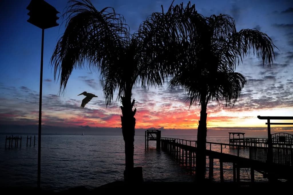 Bay Sunrise Pelican Silhouette