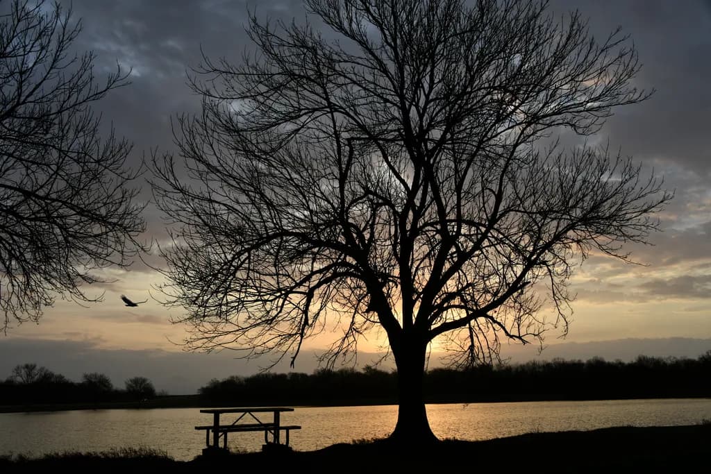 Sunrise Over Lake