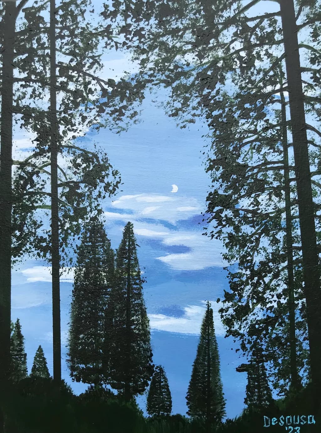 Moonlit Canopy