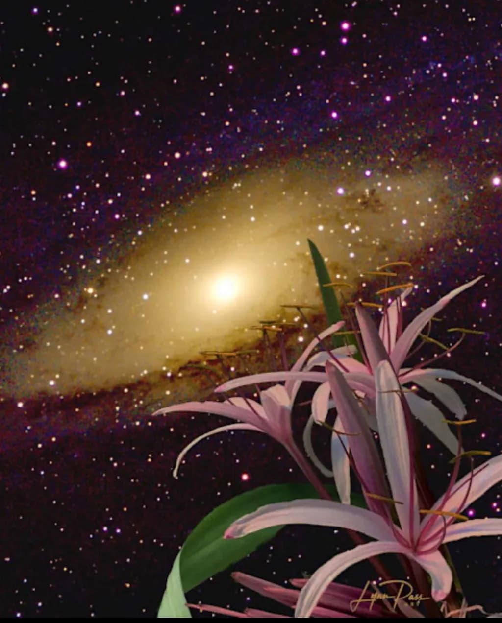 Cosmic Lilies