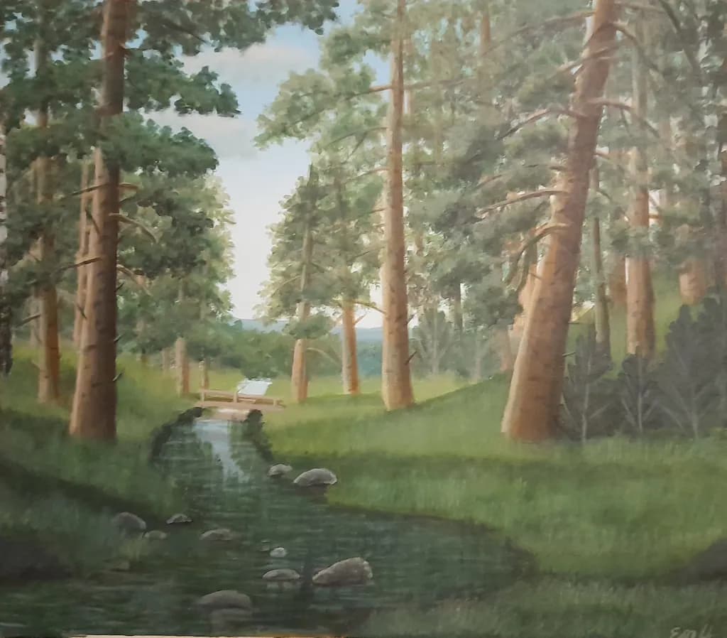 Forest Stream Reflection