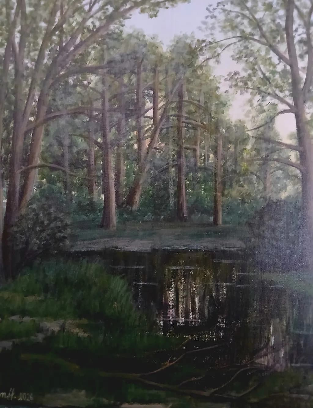 Forest Reflection