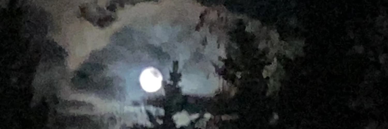 Banner del perfil