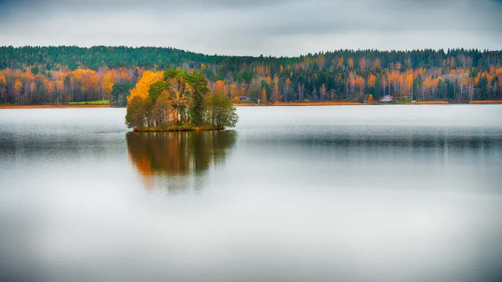 Autumn Reflection