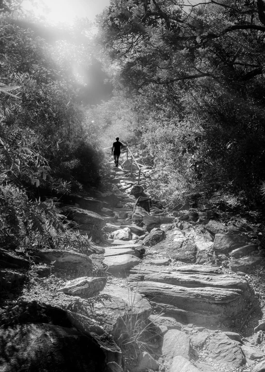 Ascending Solitude