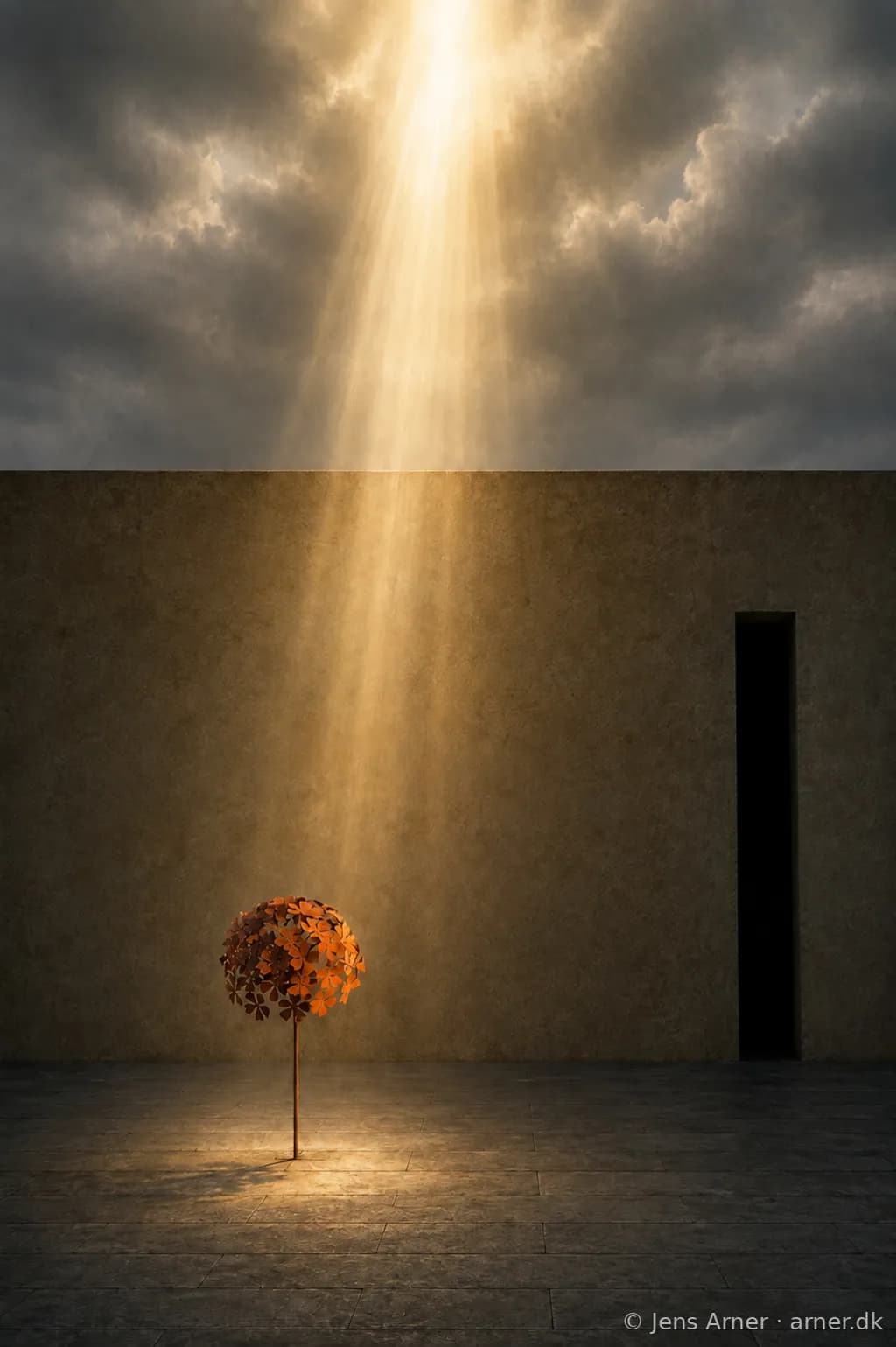 Chosen by Light
