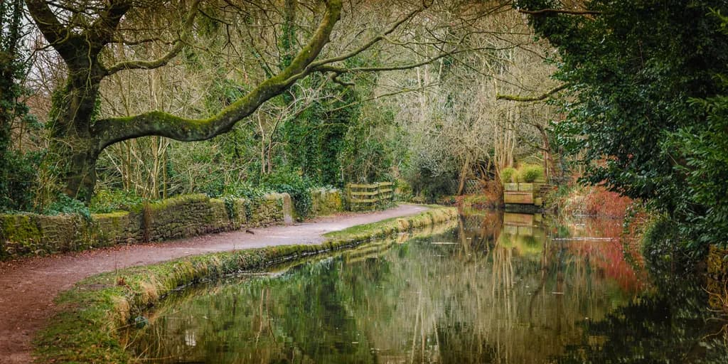 Roman Lakes Reflection