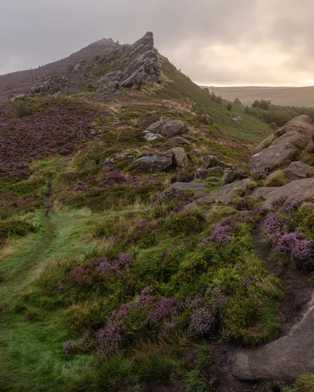 Ramshaw Rocks Vista