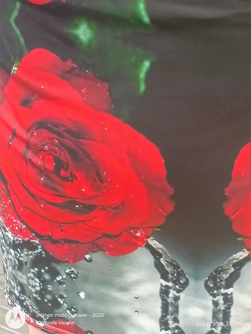 Beitragsbild 2