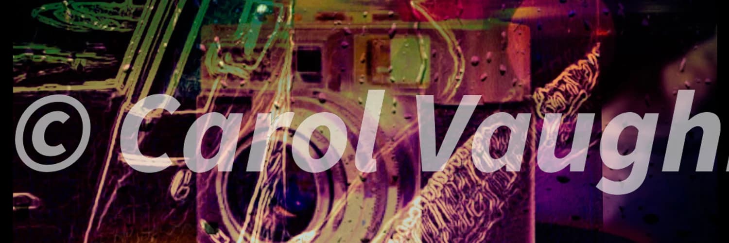 Profile banner