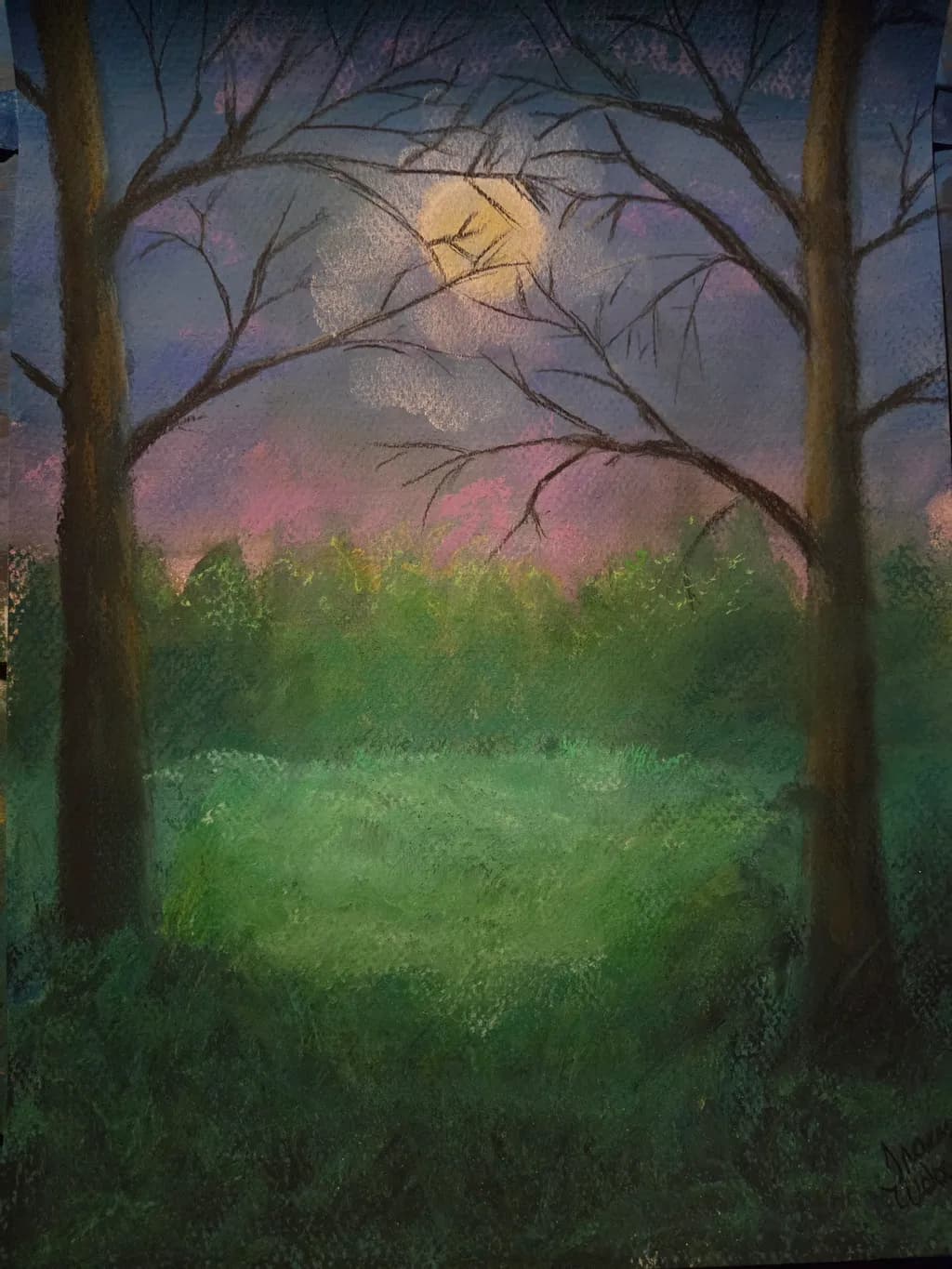 Moonlit Clearing