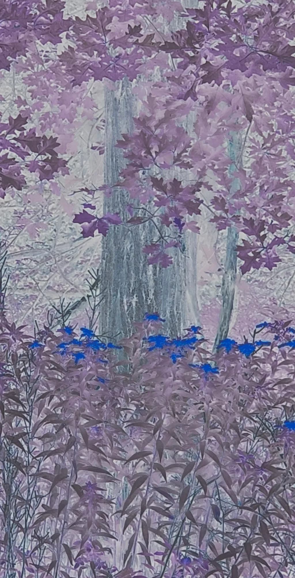 Purple Forest Bloom