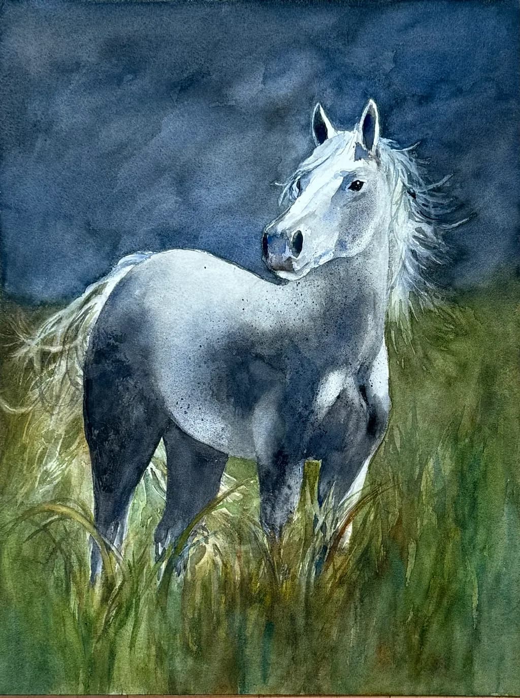 Night Meadow Horse