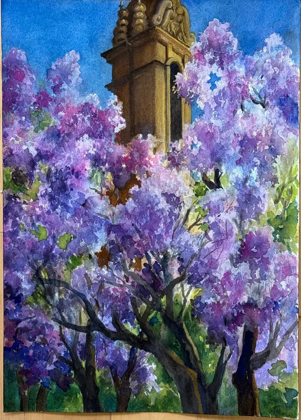Jacaranda Tower Bloom