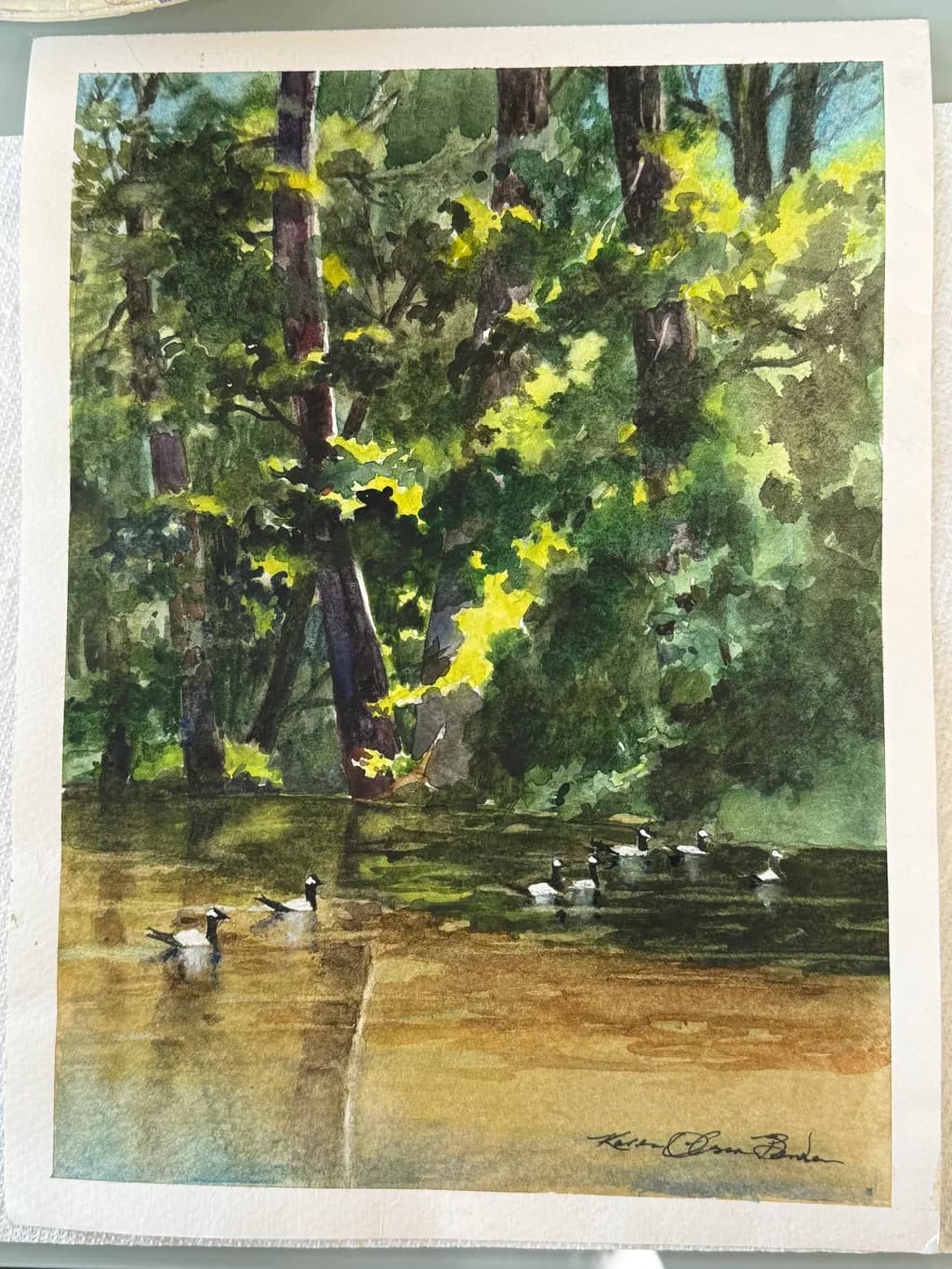 Dappled Glade