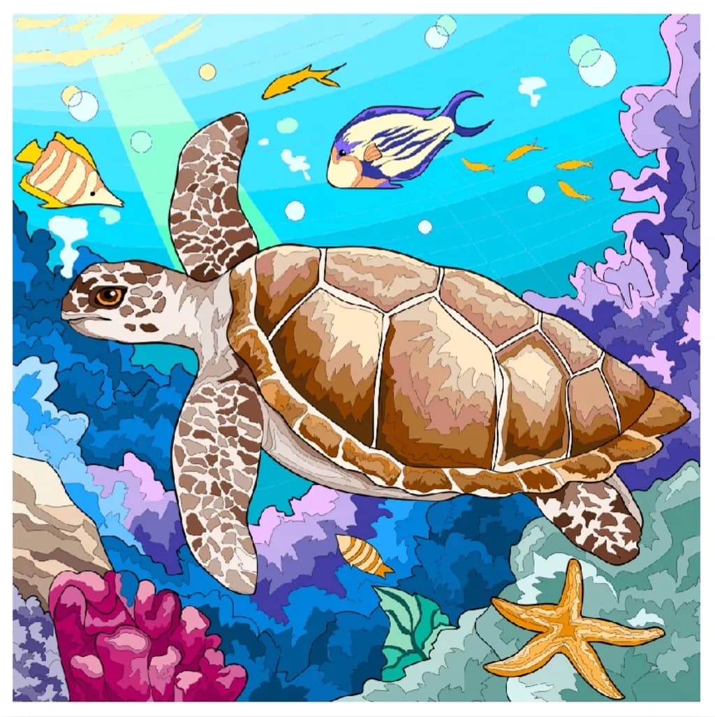 Coral Voyager