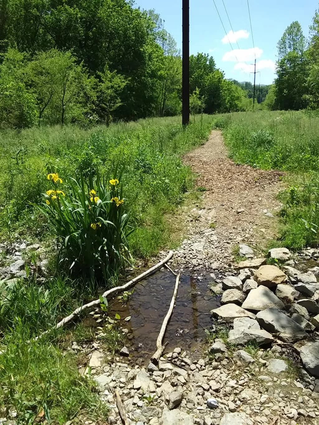 Quiet Meadow Trail