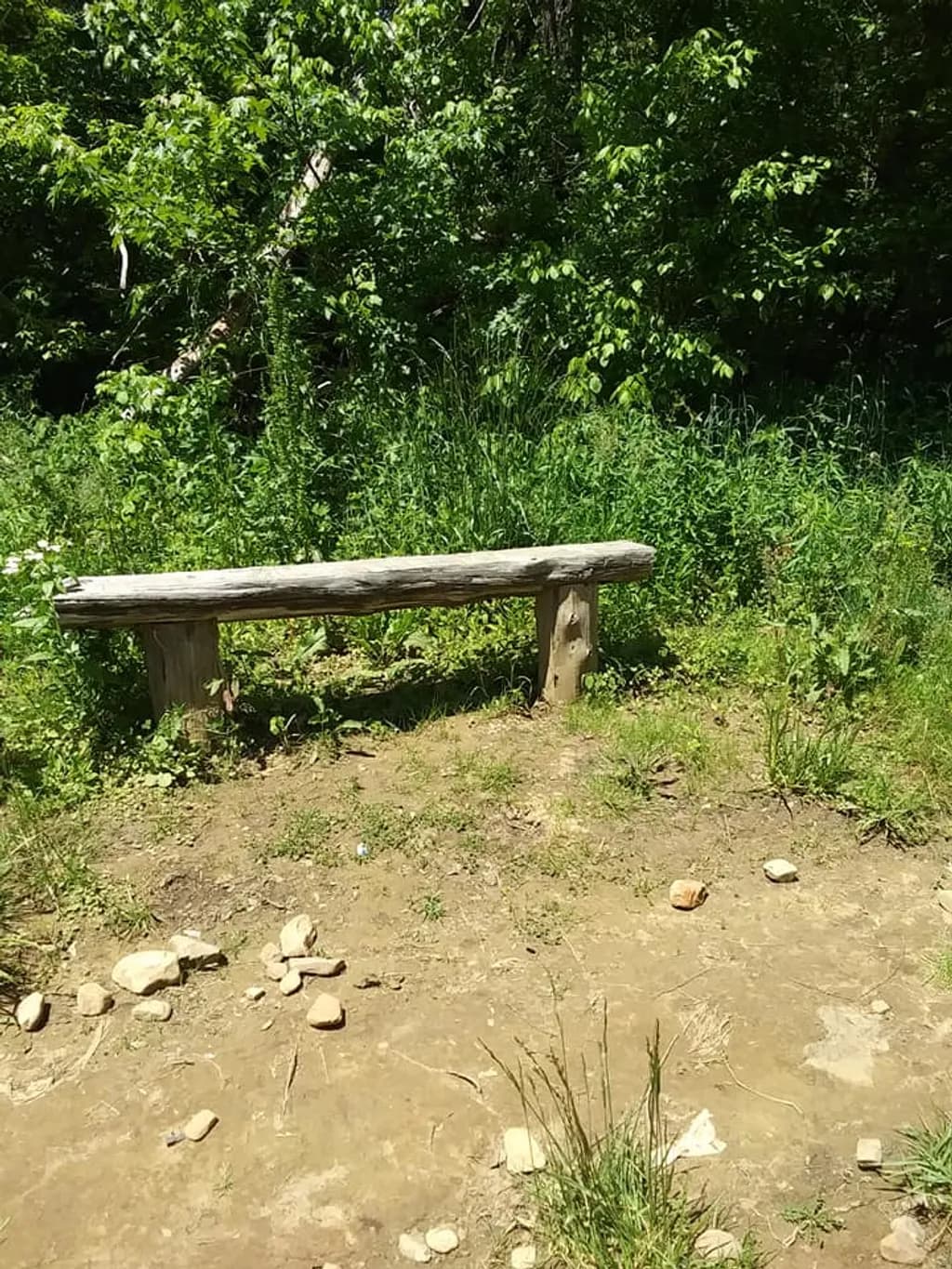Quiet Resting Spot
