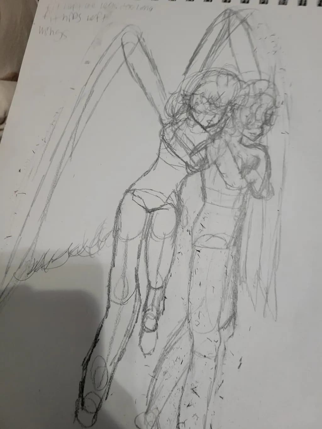 Winged Embrace