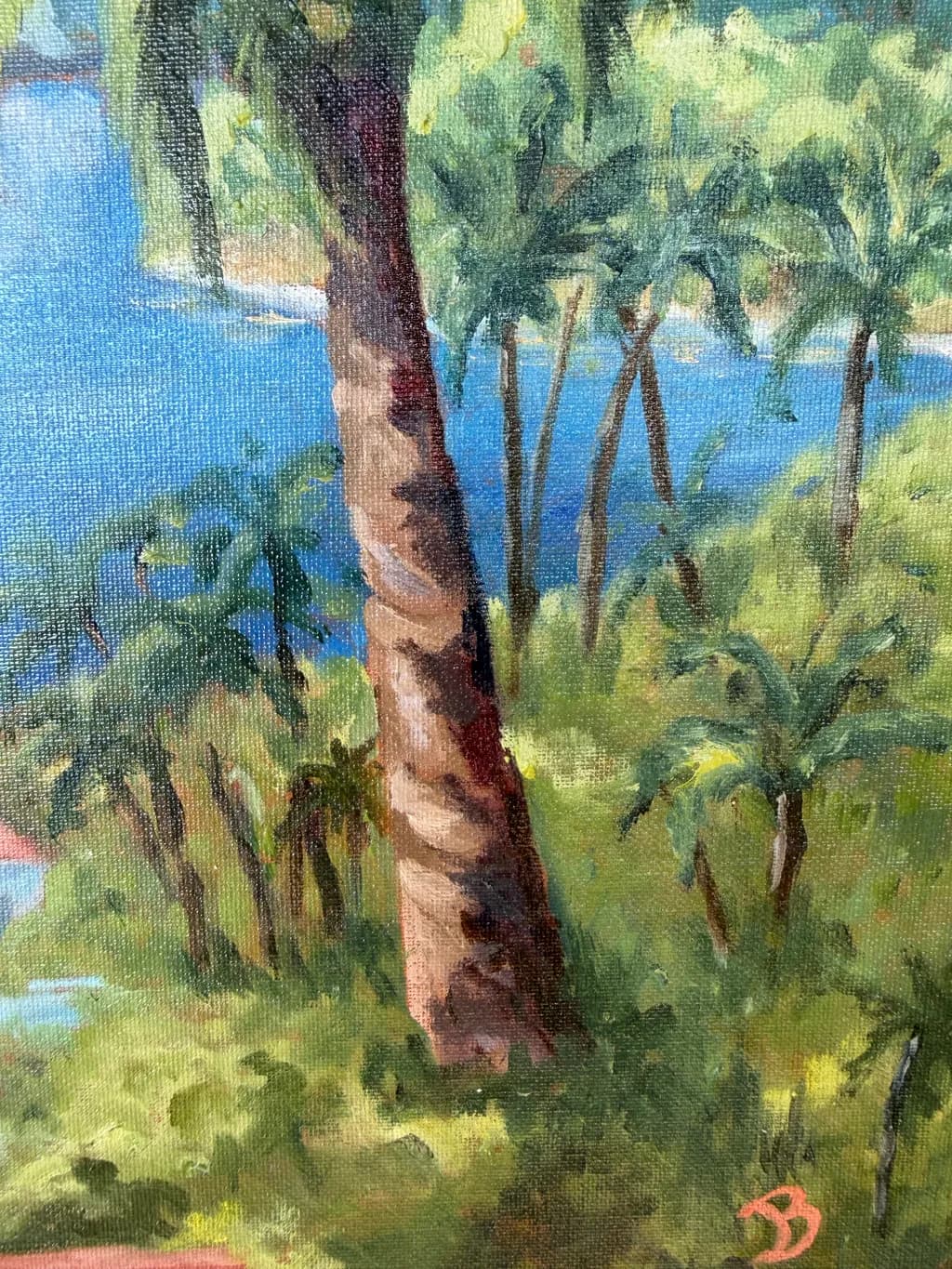 Tropical Canopy