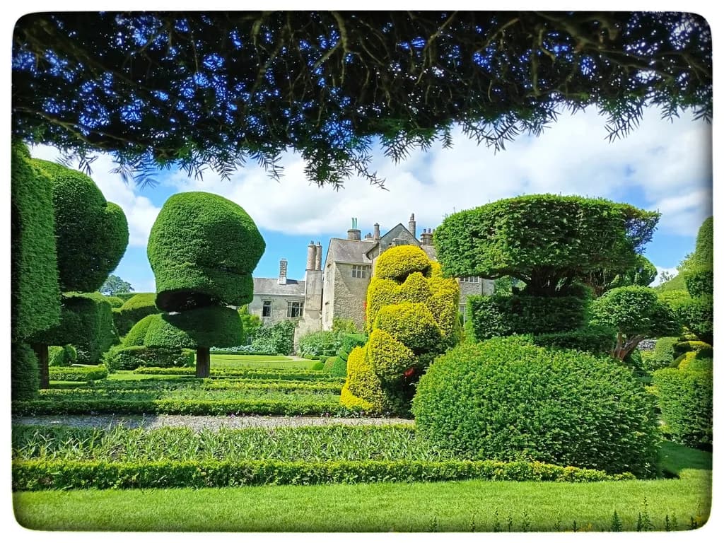 Topiary Tales