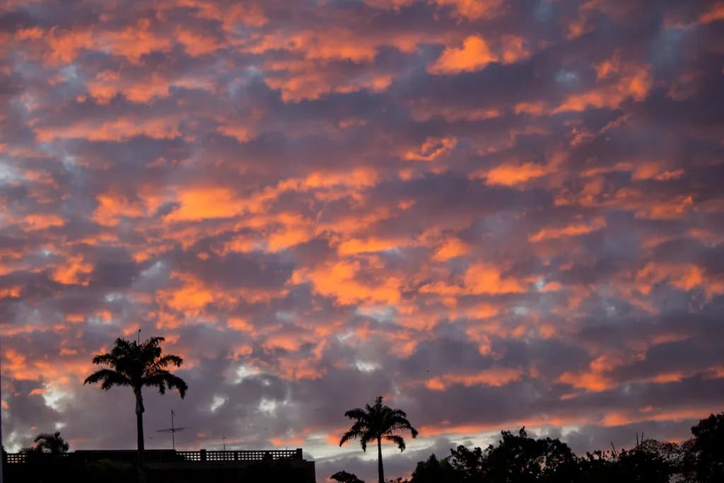 Crimson Dusk