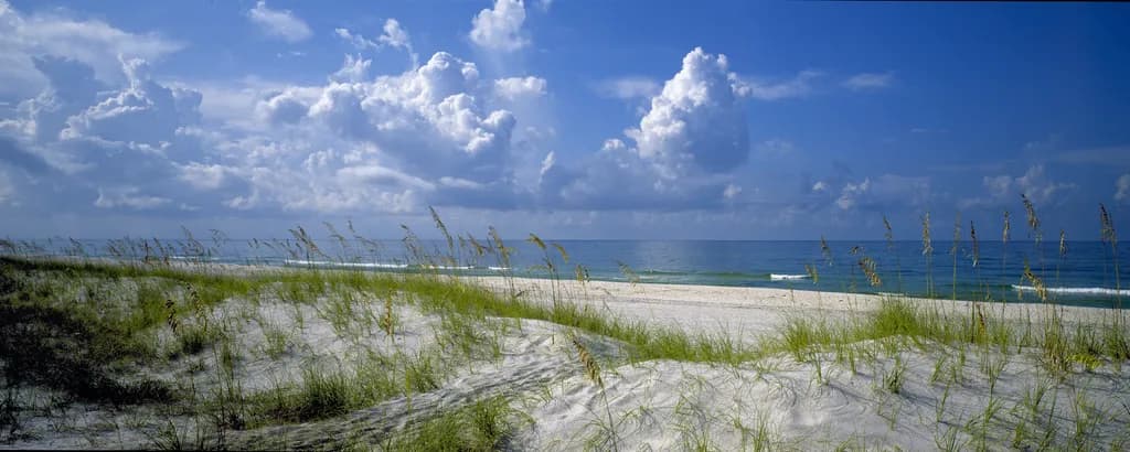 Whispers of Sea Oats Beneath a Cloud-Filled Sky